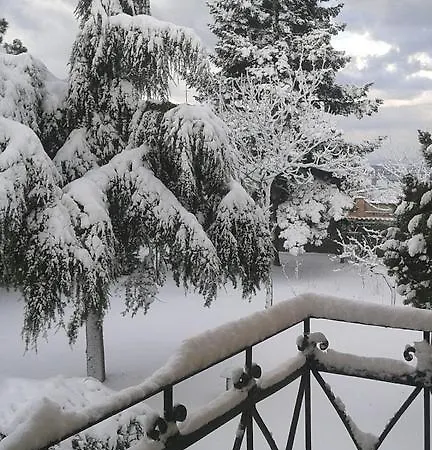 Don Aurelio Frühstückspension