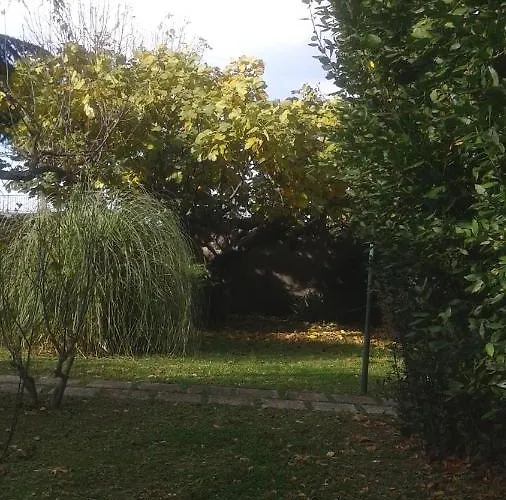 Don Aurelio Panzió 2*