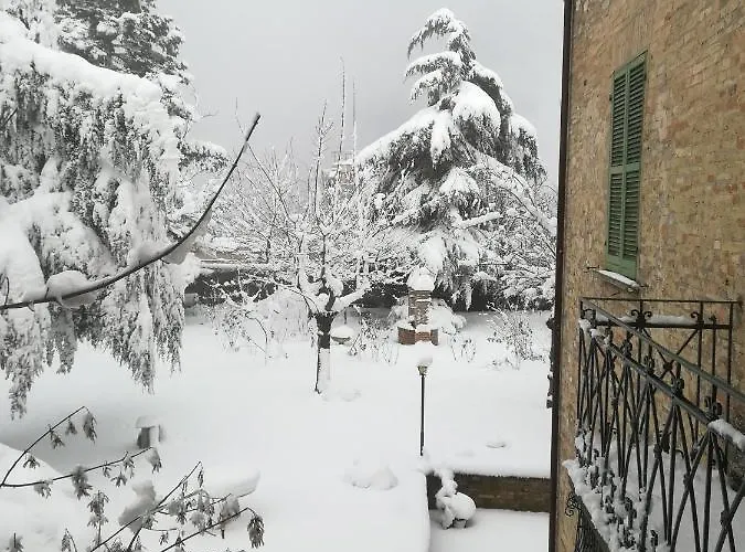 Panzió Don Aurelio 2*